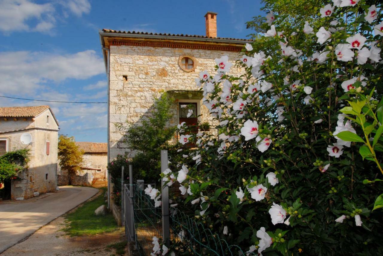 Nature House Jasenka Nova Vas  Exterior foto